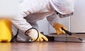 Professional Pest Control in Winters, TX